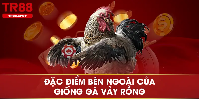 Đặc điểm bên ngoài của giống gà vảy rồng