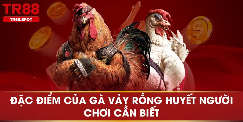 Đặc điểm của gà vảy rồng huyết người chơi cần biết